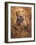 Big Smile-Ahmed Sobhi-Framed Photographic Print