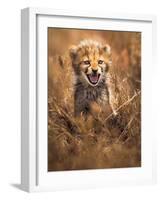 Big Smile-Ahmed Sobhi-Framed Photographic Print