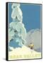 Big Snowy Pine Tree and Skier, Bear Valley-null-Framed Stretched Canvas