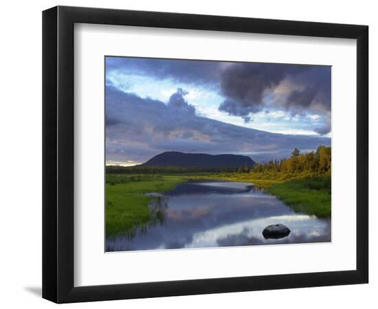 Premium Photographic Print, , large