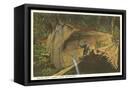 Canvas Black