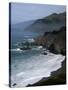 Big Sur 1-Chris Bliss-Stretched Canvas