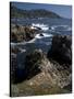 Big Sur 6-Chris Bliss-Stretched Canvas