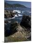 Big Sur 6-Chris Bliss-Mounted Photographic Print