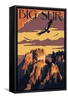 Big Sur, California - Condors-Lantern Press-Framed Stretched Canvas