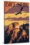 Big Sur, California - Condors-Lantern Press-Stretched Canvas