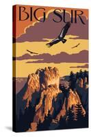 Big Sur, California - Condors-Lantern Press-Stretched Canvas