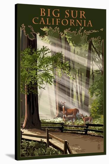 Big Sur, California - Deer and Fawn-Lantern Press-Stretched Canvas