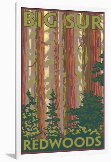 Big Sur, California - Redwoods-Lantern Press-Framed Art Print