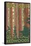 Big Sur, California - Redwoods-Lantern Press-Framed Stretched Canvas