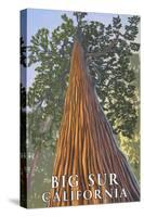 Big Sur, California - Tree Looking Up-Lantern Press-Stretched Canvas