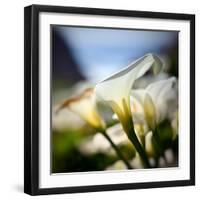 Big Sur Callas-Ursula Abresch-Framed Photographic Print