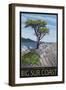 Big Sur Coast, California - Lone Cypress Tree-Lantern Press-Framed Art Print