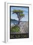 Big Sur Coast, California - Lone Cypress Tree-Lantern Press-Framed Art Print