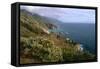 Big Sur Coast Springtime Vista, California-George Oze-Framed Stretched Canvas