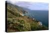 Big Sur Coast Springtime Vista, California-George Oze-Stretched Canvas