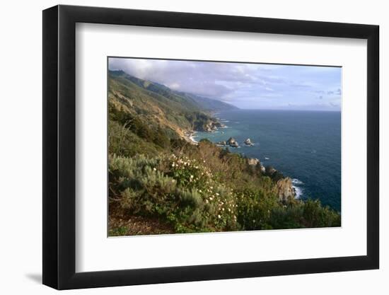 Big Sur Coast Springtime Vista, California-George Oze-Framed Photographic Print