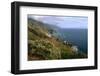 Big Sur Coast Springtime Vista, California-George Oze-Framed Photographic Print