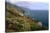 Big Sur Coast Springtime Vista, California-George Oze-Stretched Canvas