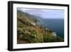 Big Sur Coast Springtime Vista, California-George Oze-Framed Photographic Print