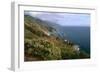 Big Sur Coast Springtime Vista, California-George Oze-Framed Photographic Print