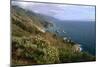 Big Sur Coast Springtime Vista, California-George Oze-Mounted Photographic Print