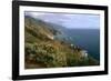 Big Sur Coast Springtime Vista, California-George Oze-Framed Photographic Print