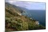 Big Sur Coast Springtime Vista, California-George Oze-Mounted Photographic Print