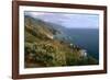 Big Sur Coast Springtime Vista, California-George Oze-Framed Photographic Print