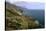 Big Sur Coast Springtime Vista, California-George Oze-Stretched Canvas