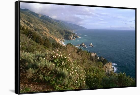 Big Sur Coast Springtime Vista, California-George Oze-Framed Stretched Canvas