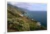 Big Sur Coast Springtime Vista, California-George Oze-Framed Photographic Print