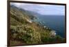 Big Sur Coast Springtime Vista, California-George Oze-Framed Photographic Print