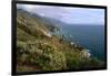 Big Sur Coast Springtime Vista, California-George Oze-Framed Photographic Print