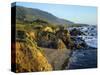 Big Sur Coastline from Highway One-James Randklev-Stretched Canvas