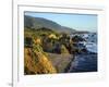 Big Sur Coastline from Highway One-James Randklev-Framed Photographic Print