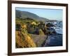 Big Sur Coastline from Highway One-James Randklev-Framed Photographic Print