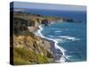 Big Sur Coastline in California, USA-Chuck Haney-Stretched Canvas