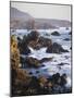 Big Sur Coastline-James Randklev-Mounted Photographic Print