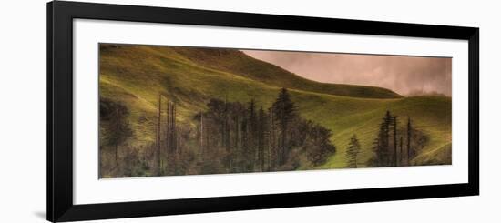 Big Sur Hillside Serenade-Vincent James-Framed Photographic Print