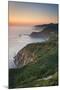 Big Sur II-Alan Majchrowicz-Mounted Photographic Print