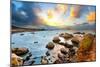 Big Sur Pacific Ocean Coast at Sunset-sborisov-Mounted Photographic Print