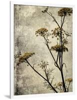 Big Sur Yarrow I-Honey Malek-Framed Art Print