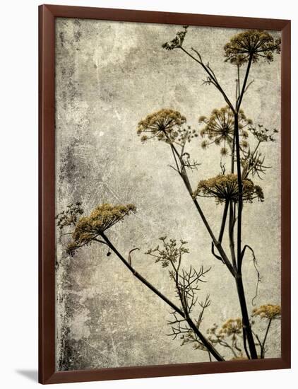 Big Sur Yarrow I-Honey Malek-Framed Art Print