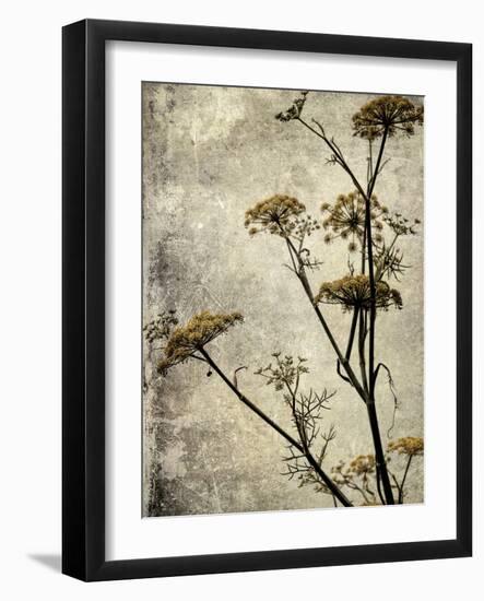 Big Sur Yarrow I-Honey Malek-Framed Art Print