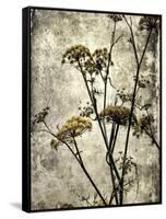 Big Sur Yarrow II-Honey Malek-Framed Stretched Canvas