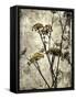 Big Sur Yarrow II-Honey Malek-Framed Stretched Canvas