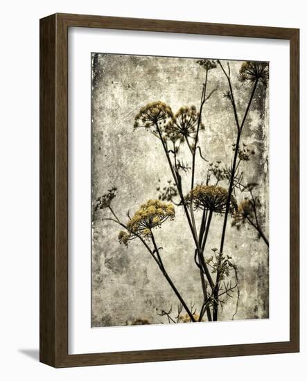 Big Sur Yarrow II-Honey Malek-Framed Art Print