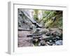 Big Sur-Carli Choi-Framed Photographic Print