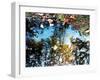 Big Sur-Carli Choi-Framed Photographic Print